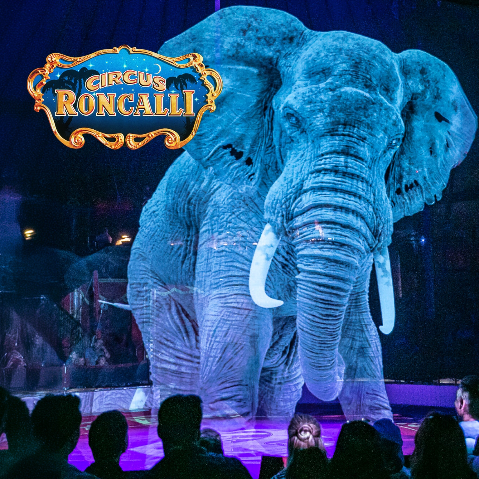 RONCALLI – the first circus in the world with animal welfare in mind