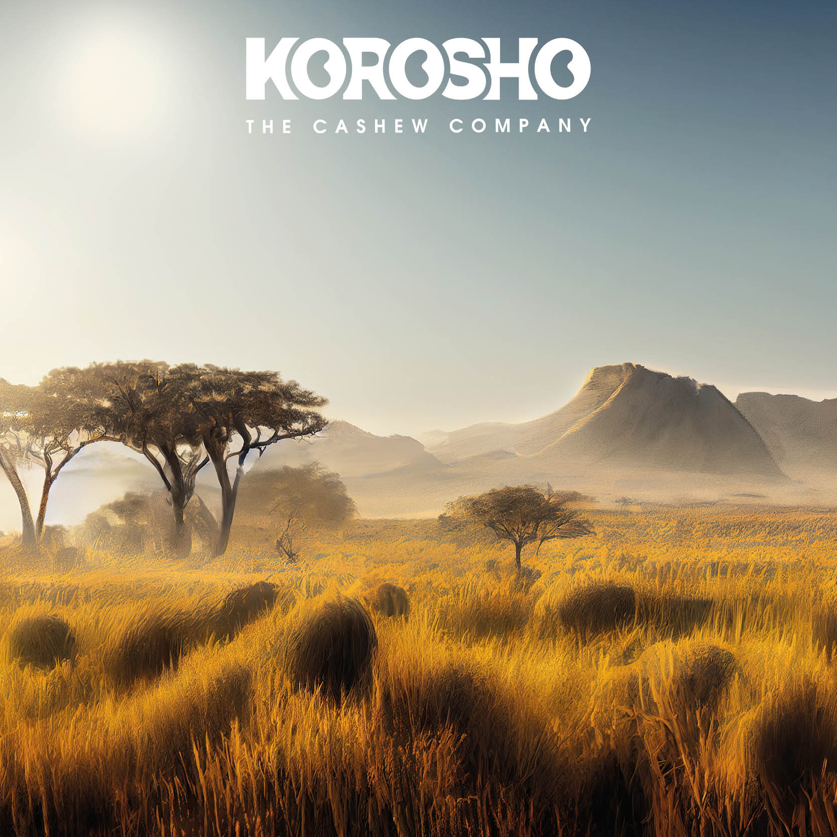 Korosho & the Cashews