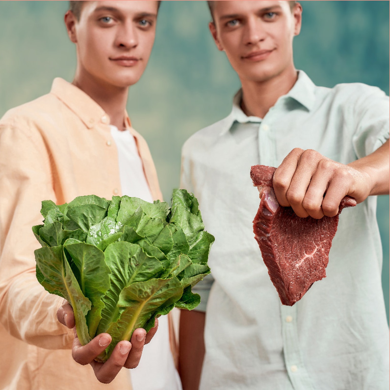 Twins reveal the secrets of a vegan diet