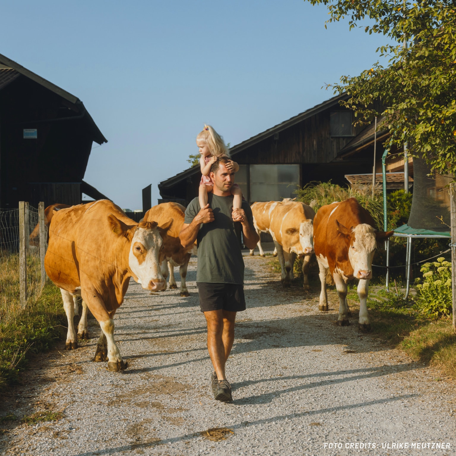 The story of the Burrens: a real Swiss animal fairy tale