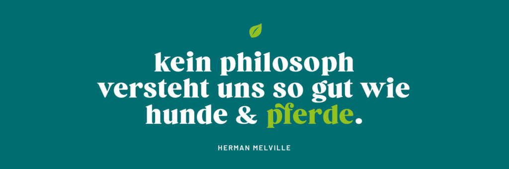 Zitat Herman Melville