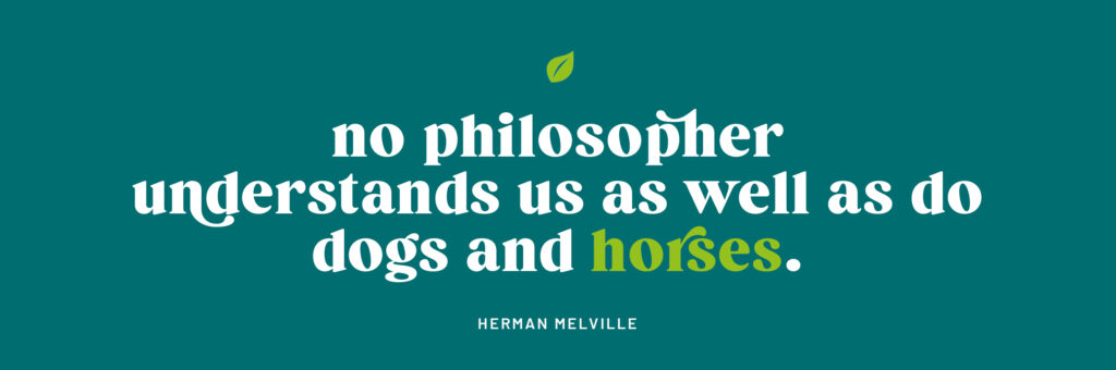 Herman Melville quote