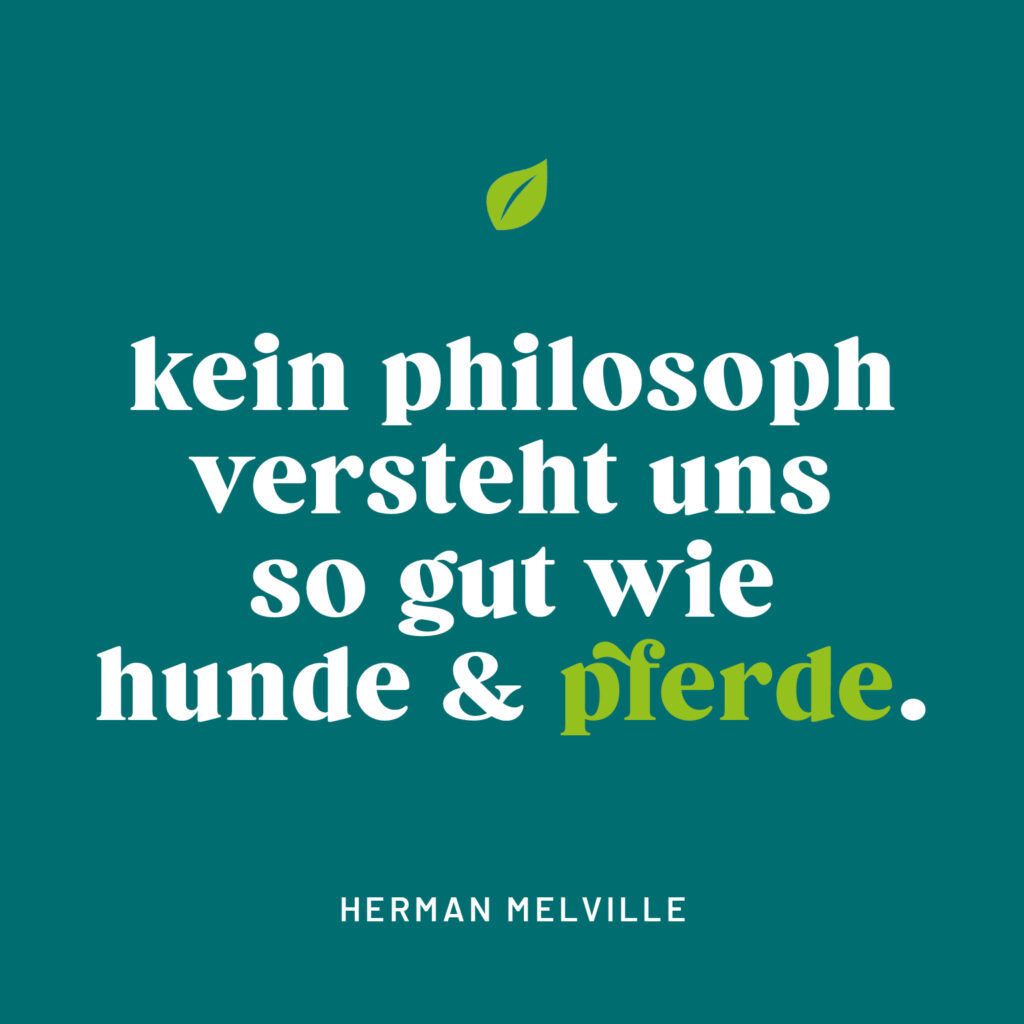 Zitat Herman Melville