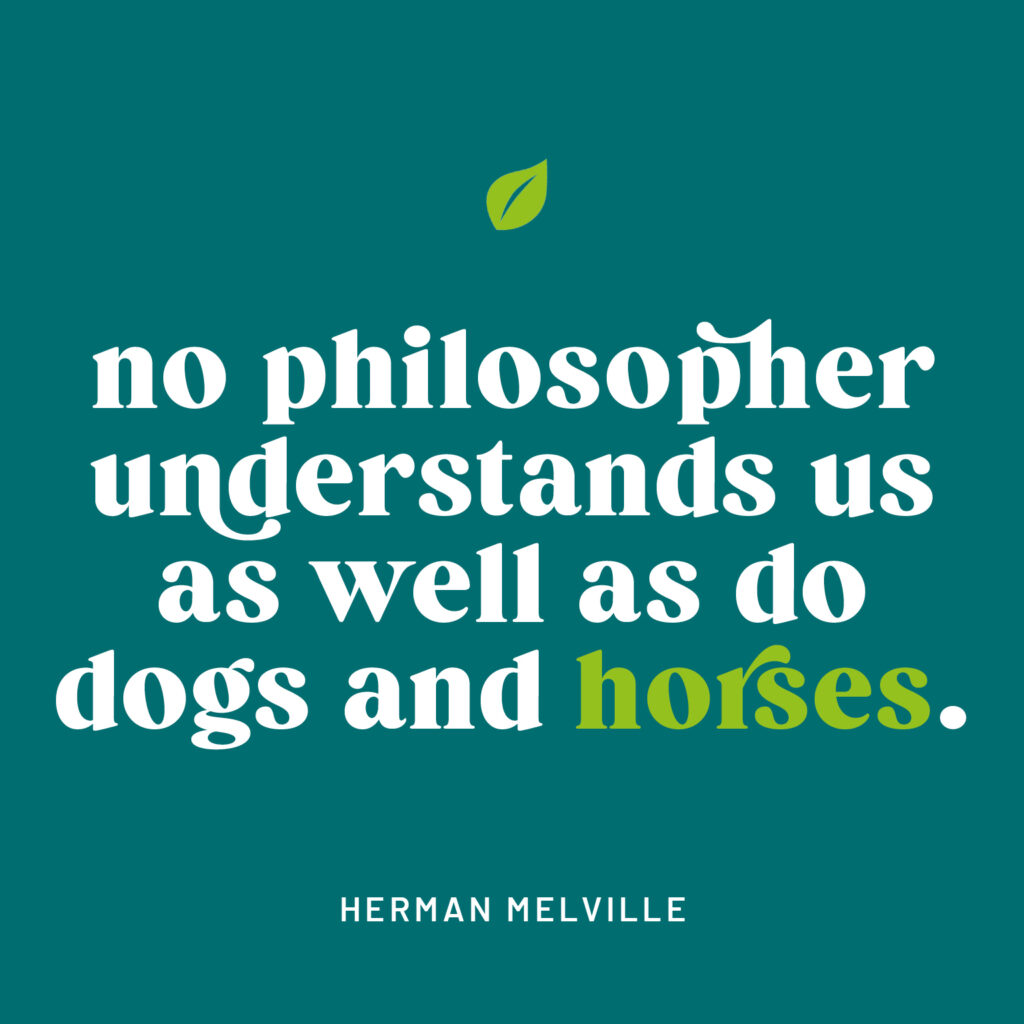 Herman Melville quote